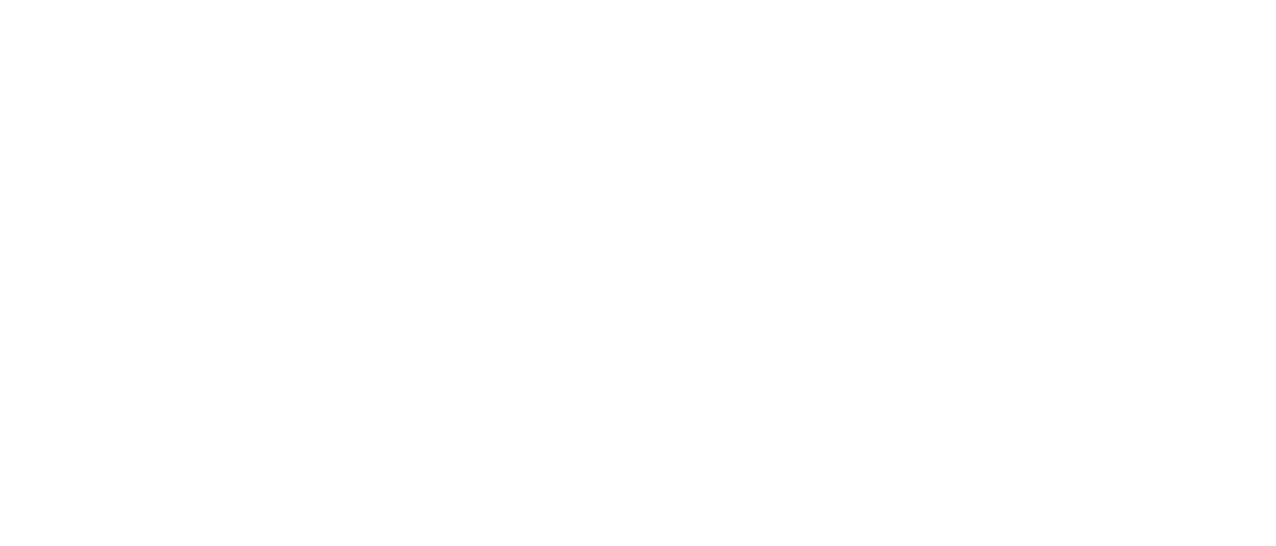 logo footer mountainstream